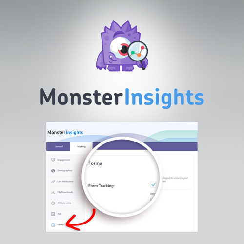 MonsterInsights β Forms Tracking Addon